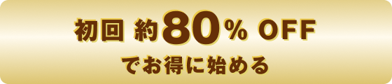 初回80%OFFでお得に始める