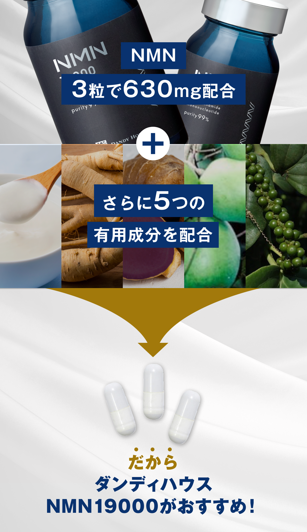 NMN3粒で630mg配合 さらに5つの有効成分を配合 だからダンディハウスNMN19000がおすすめ!