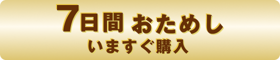 初回80%OFFでお得に始める