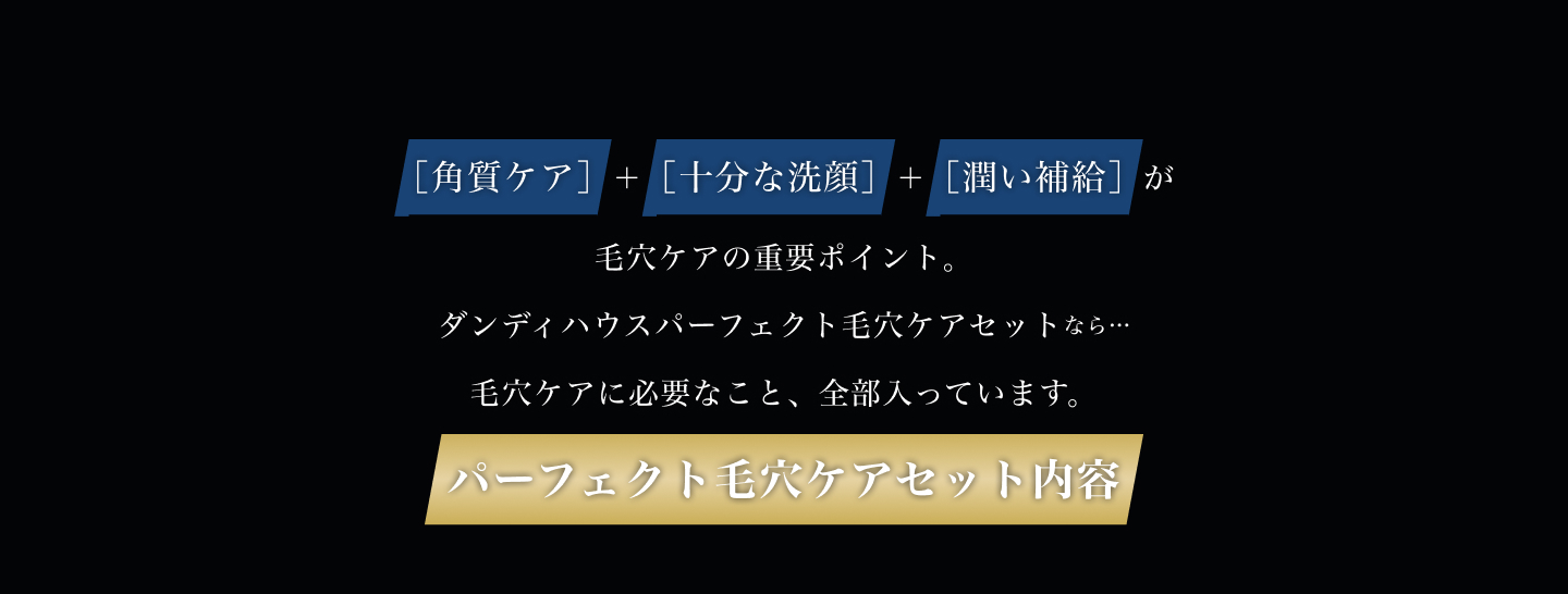 ダンディハウスパーフェクト毛穴ケアセットなら毛穴ケアに必要なこと、全部入っています。パーフェクト毛穴ケアセット内容
