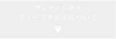 ダンディハウス ディープクレイについて