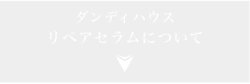 ダンディハウス リペアセラムについて