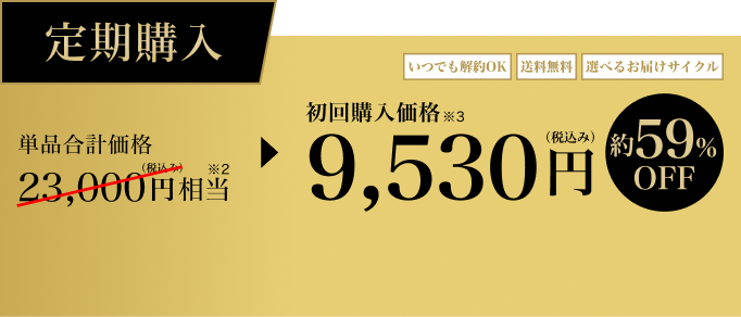定期購入 初回限定約59%OFF 9,530円