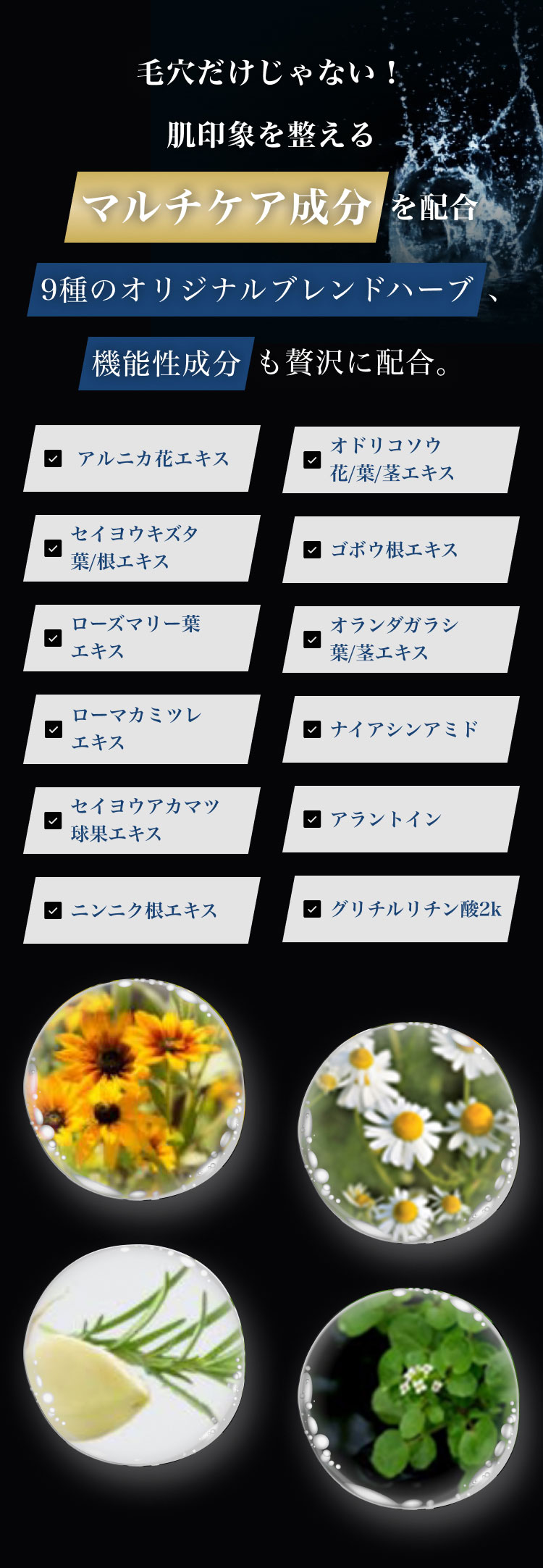 ダンディハウス パーフェクト毛穴ケアセット ｜ ミス・パリ ダンディ