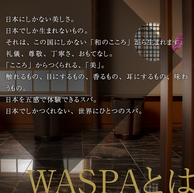 SP】WASPA PREMIUM TICKET エステチケット ｜ ミス・パリ ダンディ 